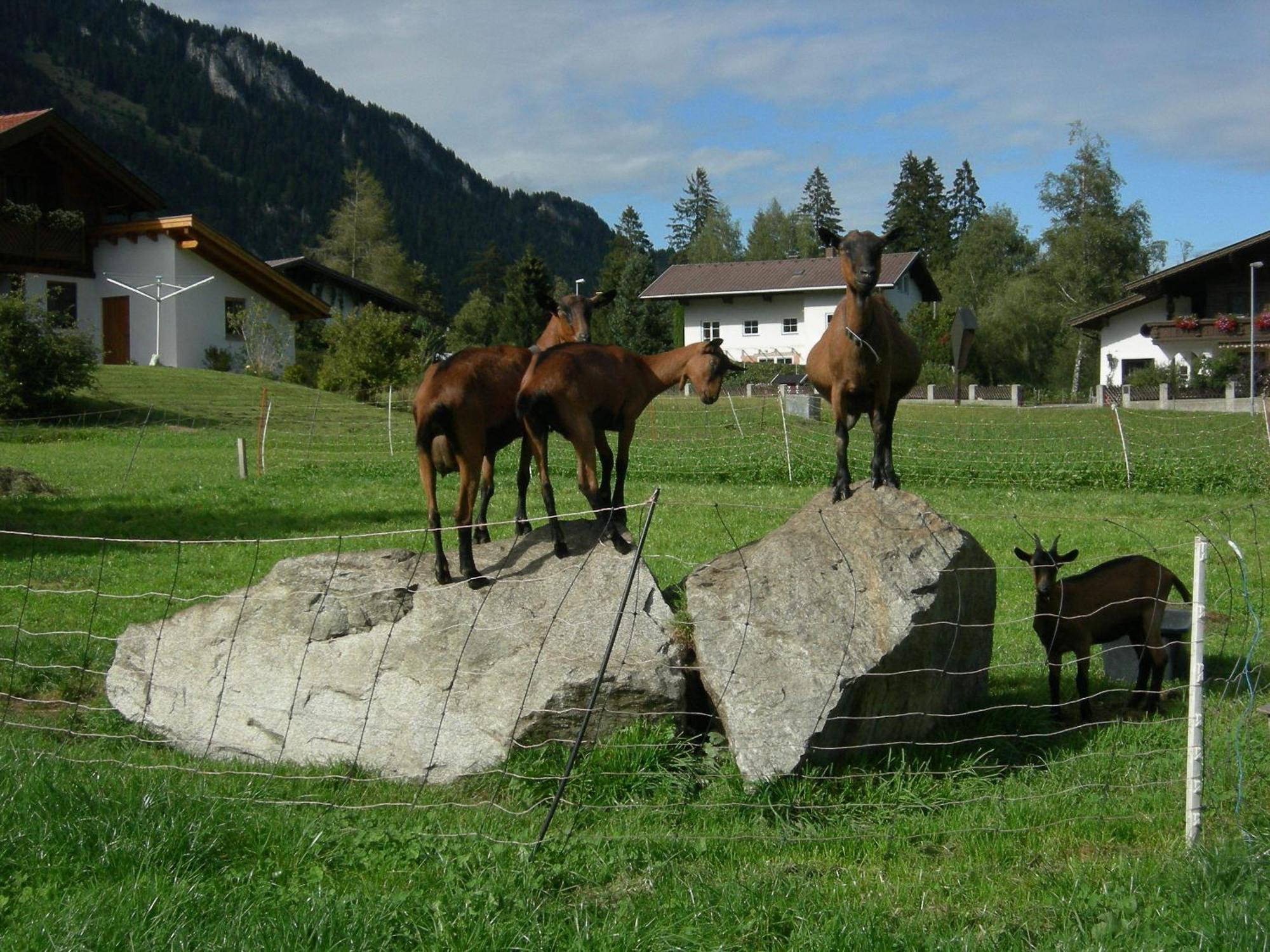 Hotel S'Hoamatl Höfen Esterno foto